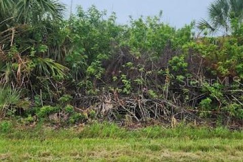Land in Port Charlotte, Florida № 2164240 - photo 6