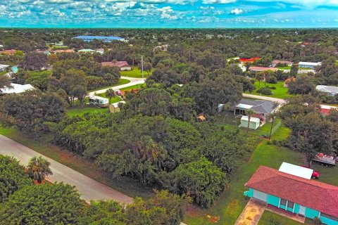 Land in Port Charlotte, Florida № 2164318 - photo 3