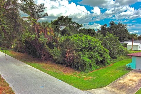 Land in Port Charlotte, Florida № 2164318