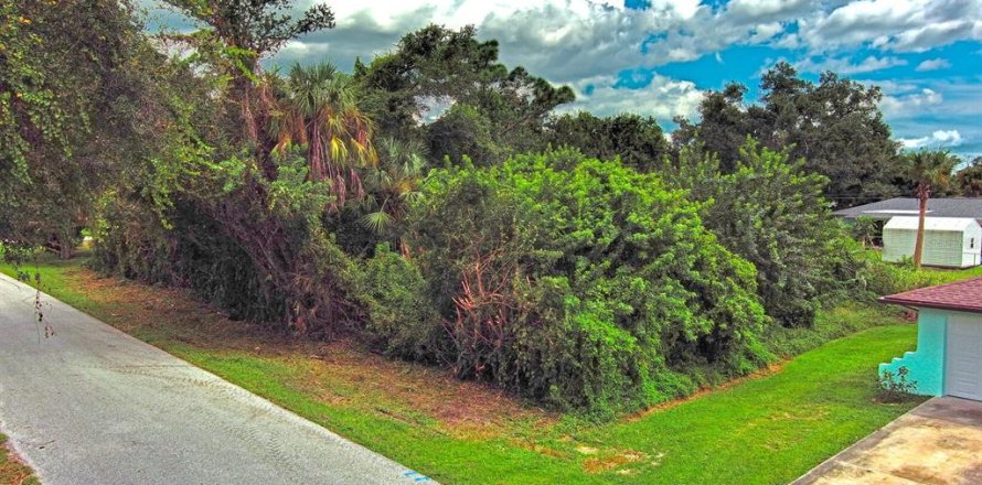 Land in Port Charlotte, Florida № 2164318