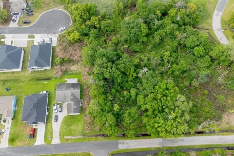 Land in Plant City, Florida № 2159447 - photo 3