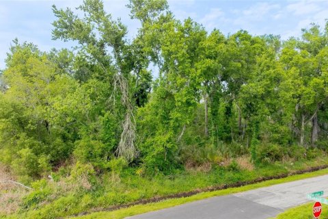 Land in Plant City, Florida № 2159447