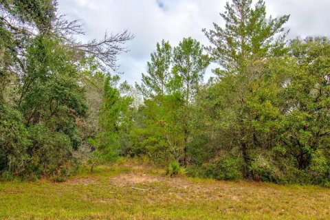 Land in Ocala, Florida № 866621 - photo 13