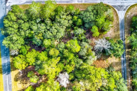 Land in Ocala, Florida № 866621 - photo 6