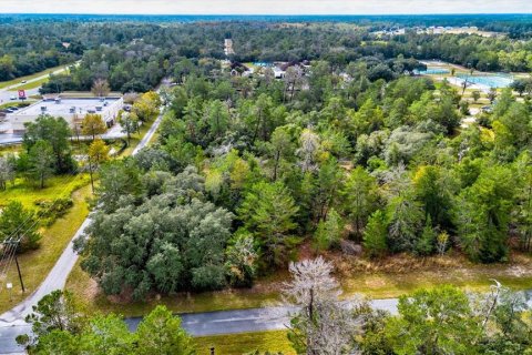 Land in Ocala, Florida № 866621 - photo 7