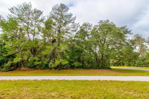 Land in Ocala, Florida № 866621 - photo 16