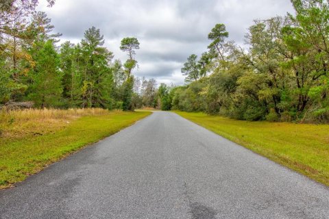 Land in Ocala, Florida № 866621 - photo 24