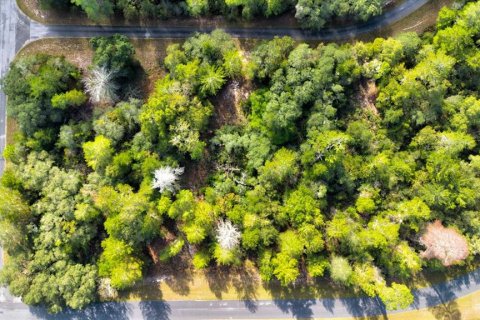 Land in Ocala, Florida № 866621 - photo 5