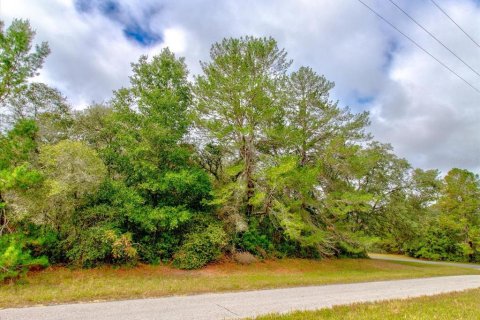 Land in Ocala, Florida № 866621 - photo 28