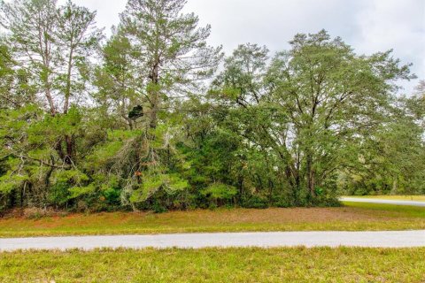 Land in Ocala, Florida № 866621 - photo 27