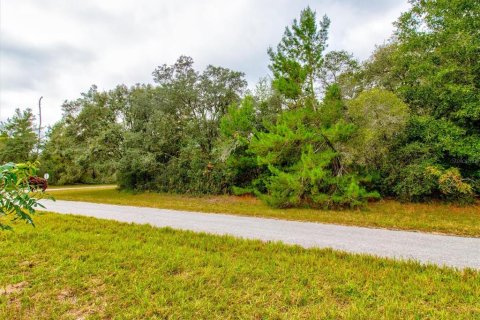 Land in Ocala, Florida № 866621 - photo 17