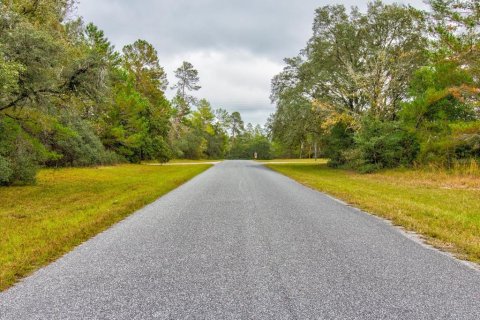 Land in Ocala, Florida № 866621 - photo 29