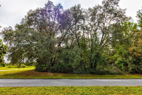 Land in Ocala, Florida № 866621 - photo 25
