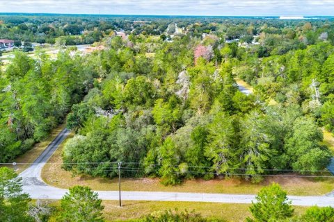Land in Ocala, Florida № 866621 - photo 4