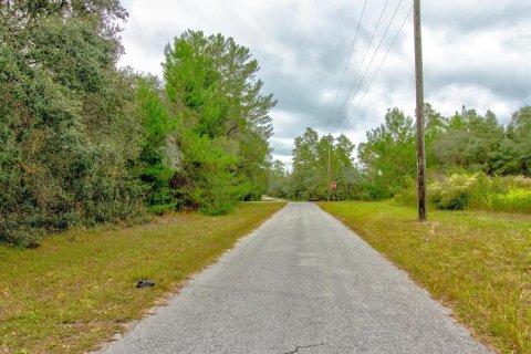 Land in Ocala, Florida № 866621 - photo 15