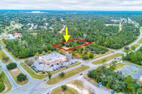 Land in Ocala, Florida № 866621 - photo 1