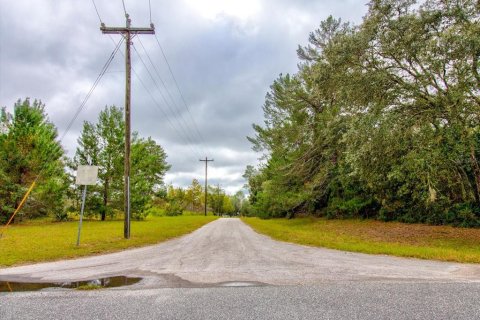 Land in Ocala, Florida № 866621 - photo 22