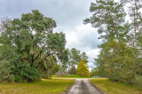 Land in Ocala, Florida № 866621 - photo 11