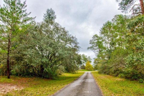 Land in Ocala, Florida № 866621 - photo 9