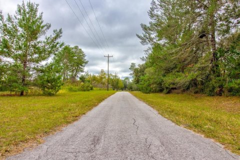 Land in Ocala, Florida № 866621 - photo 21