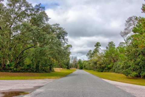 Land in Ocala, Florida № 866621 - photo 23