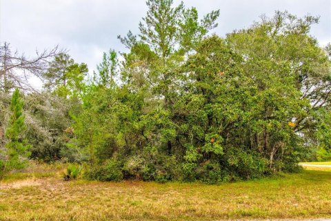 Land in Ocala, Florida № 866621 - photo 12