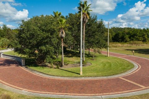 Terreno en venta en Lutz, Florida № 1038886 - foto 13