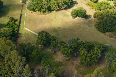 Terreno en venta en Lutz, Florida № 1038886 - foto 5