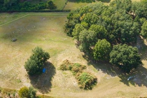 Terreno en venta en Lutz, Florida № 1038886 - foto 10