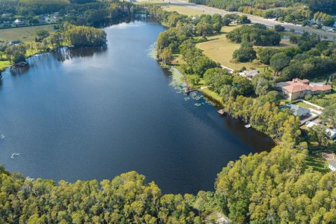 Terreno en venta en Lutz, Florida № 1038886 - foto 6