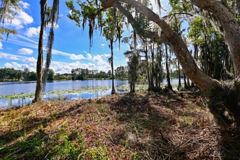 Terreno en venta en Lutz, Florida № 1038886 - foto 11