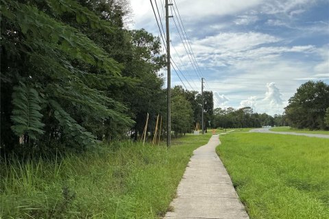 Land in Ocala, Florida № 2383983 - photo 6