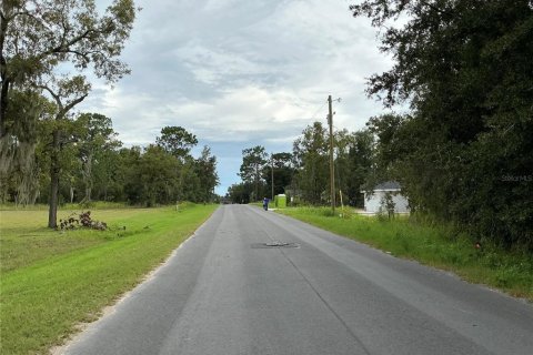 Land in Ocala, Florida № 2383983 - photo 5