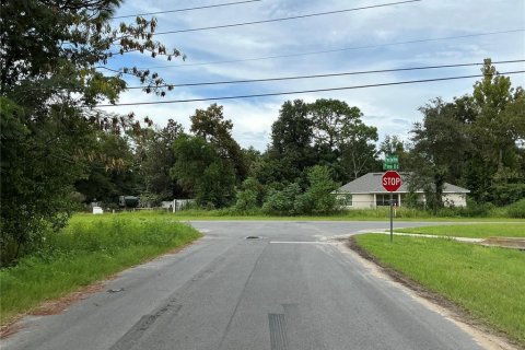 Land in Ocala, Florida № 2383983 - photo 4