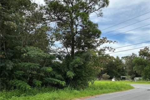 Land in Ocala, Florida № 2383983 - photo 3