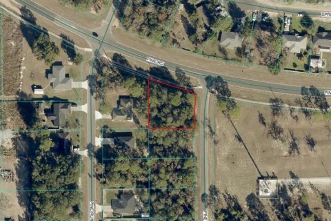 Land in Ocala, Florida № 2383983 - photo 2