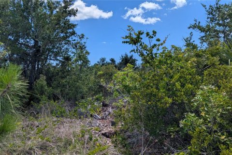 Land in Port Charlotte, Florida № 2166650 - photo 3