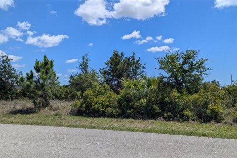 Land in Port Charlotte, Florida № 2166650 - photo 2