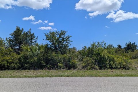 Land in Port Charlotte, Florida № 2166650