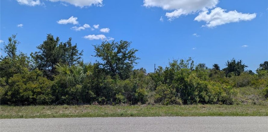 Land in Port Charlotte, Florida № 2166650