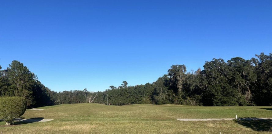 Villa ou maison à Green Cove Springs, Floride 5 chambres, 262.45 m2 № 872877
