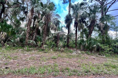 Terreno en Port Charlotte, Florida № 2236750