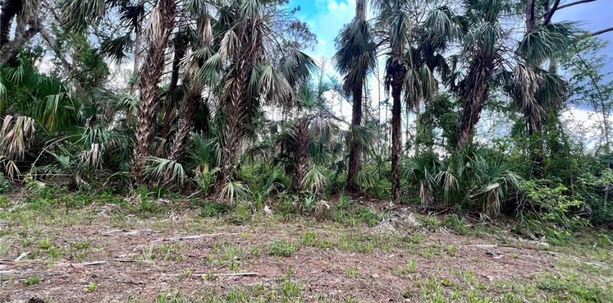 Terrain à Port Charlotte, Floride № 2236750