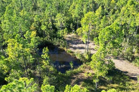 Land in Fountain, Florida № 2167879 - photo 5