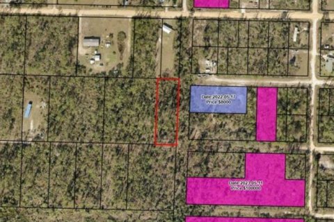 Land in Fountain, Florida № 2167879 - photo 2