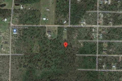 Land in Fountain, Florida № 2167879 - photo 3