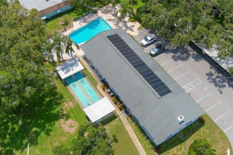 Condo in Dunedin, Florida, 1 bedroom  № 1817984 - photo 13