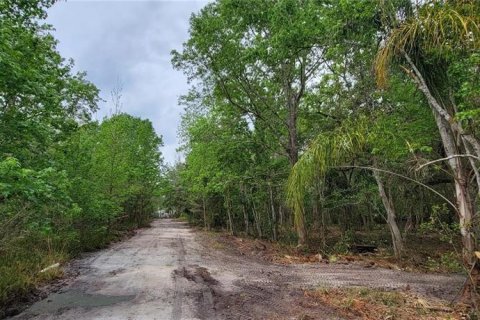 Terreno en venta en Kissimmee, Florida № 2233577 - foto 5
