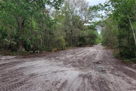 Terreno en venta en Kissimmee, Florida № 2233577 - foto 6