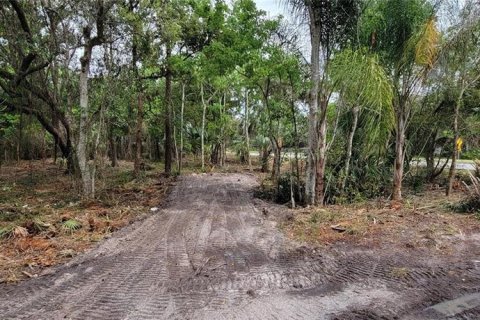 Terreno en venta en Kissimmee, Florida № 2233577 - foto 3